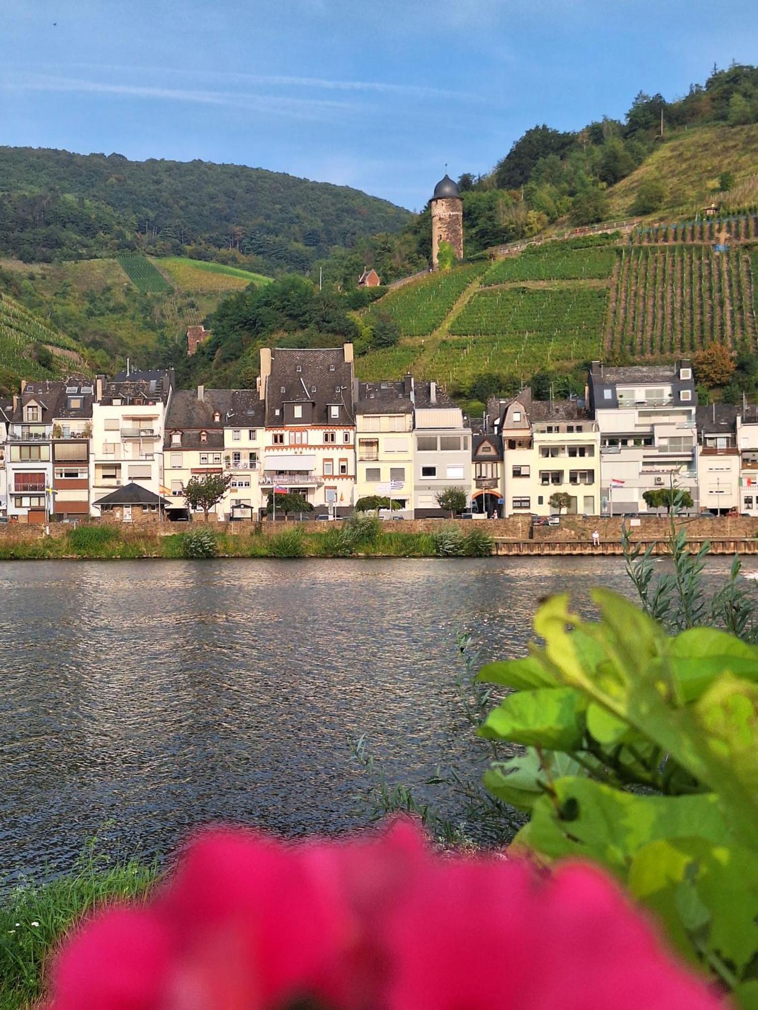 Mosel View Old Town Apartments Zell an der Mosel Exteriér fotografie